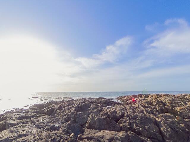 Flat 203, Mount Curtis, 307 M AI N Road, Sea Point, Western Cape, Sectional Scheme No. Ss 85/1980, Sea Point East, City Of Cape Town, Western Cape