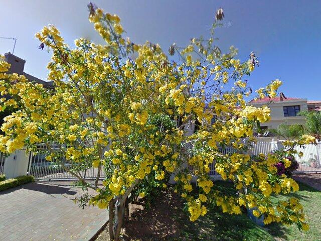 25 Dam Road, Waterkloof, Pretoria, Gauteng