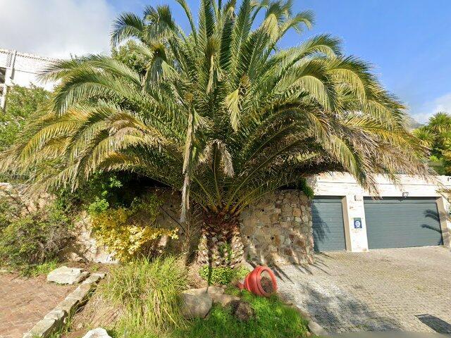Erf 1421 Camps Bay, Cape Division, Western Cape Province, Situated At 2 Woodhead Close, Camps Bay, Cape Town