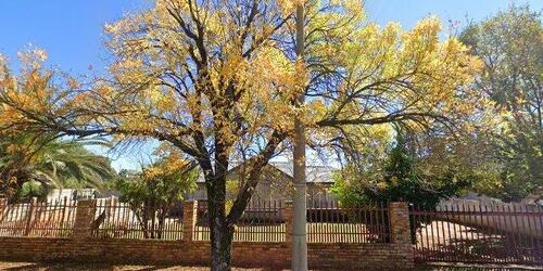 Erf 59 Songloed Township, 46 Edna Street, Songloed, Klerksdorp, North West