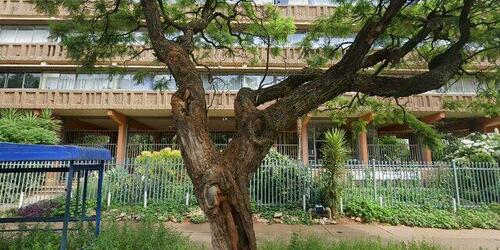 2 Bedroom Sectional Title Unit