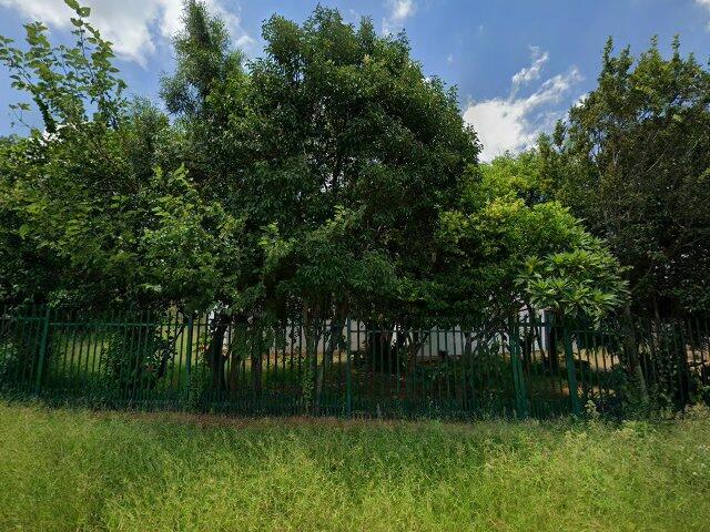 Erf 550 Kwaggasrand Township, Registration Division J.R., Province Of Gauteng, 218 Koester Street, Kwaggasrand, Pretoria, Gauteng