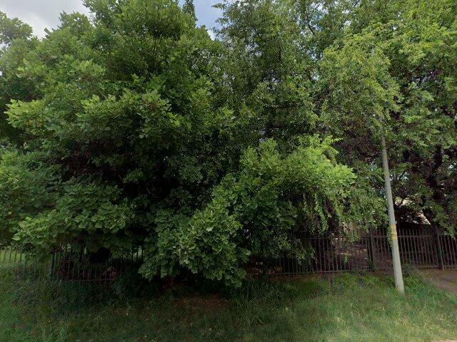 Erf 407, 15 Boronia Avenue, Geelhoutpark, Rustenburg