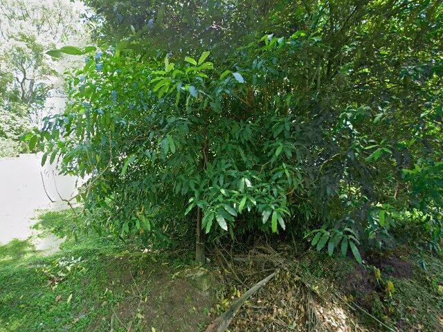 Portion 3 Of Erf 1609, 3 Tritoma Road, Pinetown, Kwa Zulu Natal