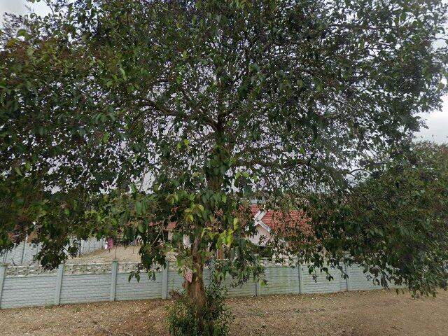 Portion 42 Of Erf 1633, 47 Bradshaw Road, Pietermaritzburg, Kwa Zulu Natal