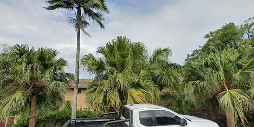 Erf 261 Mtunzini (Extension No. 2), 61 Raphia Crescent, Mtunzini